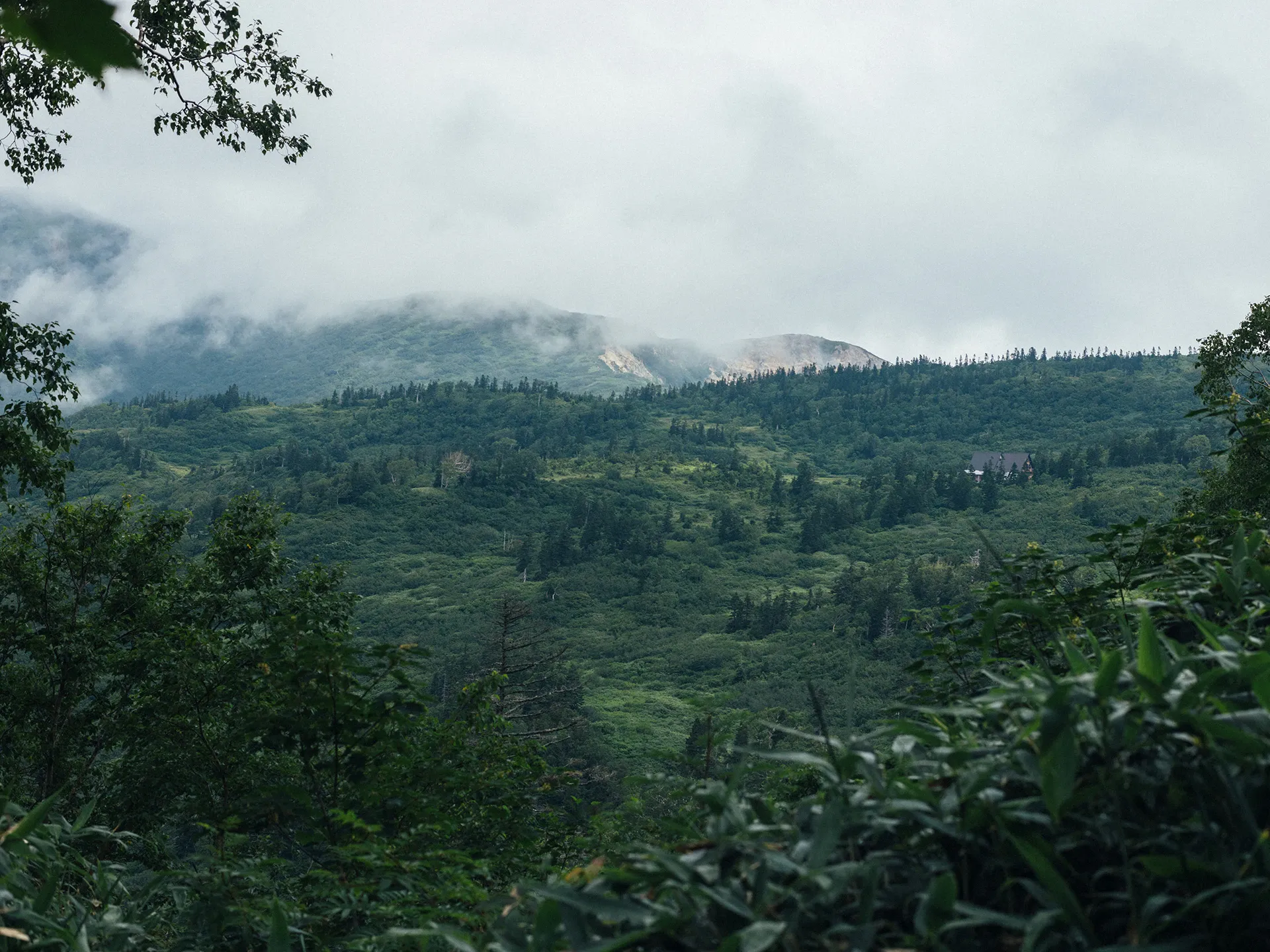 Image 15
