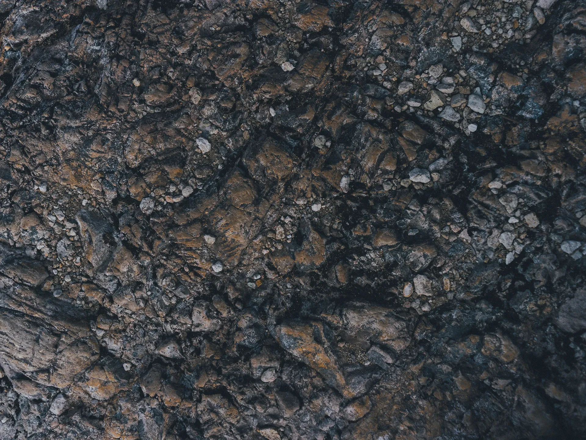 Image 19