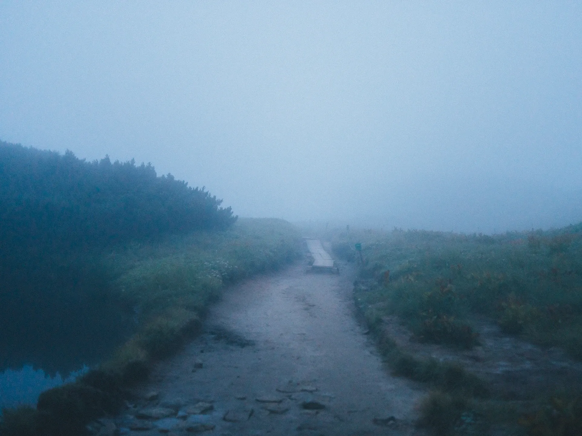 Image 20