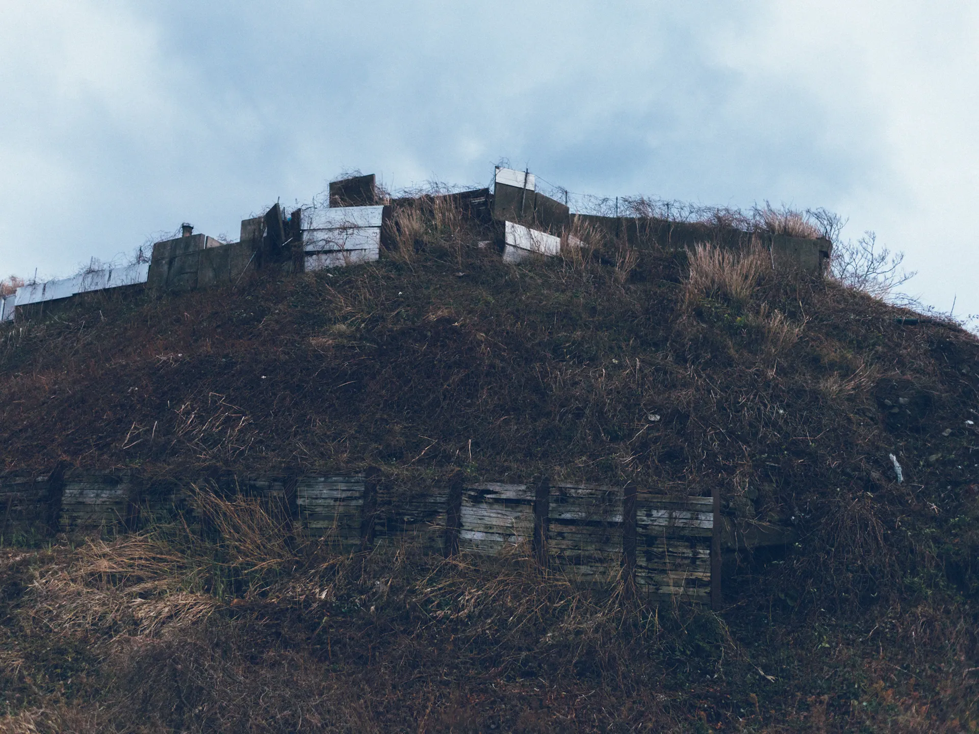 Image 29