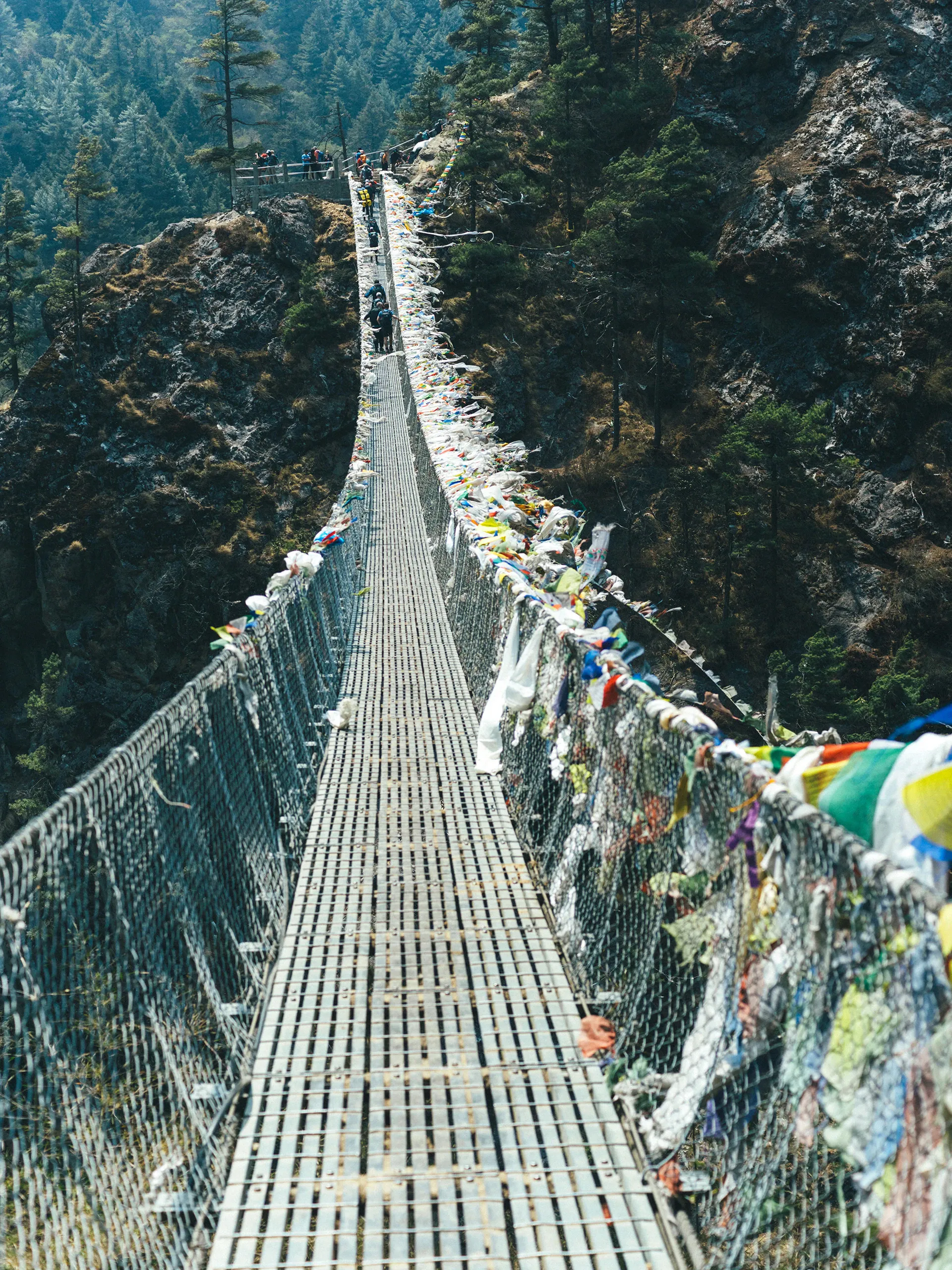 Image 37