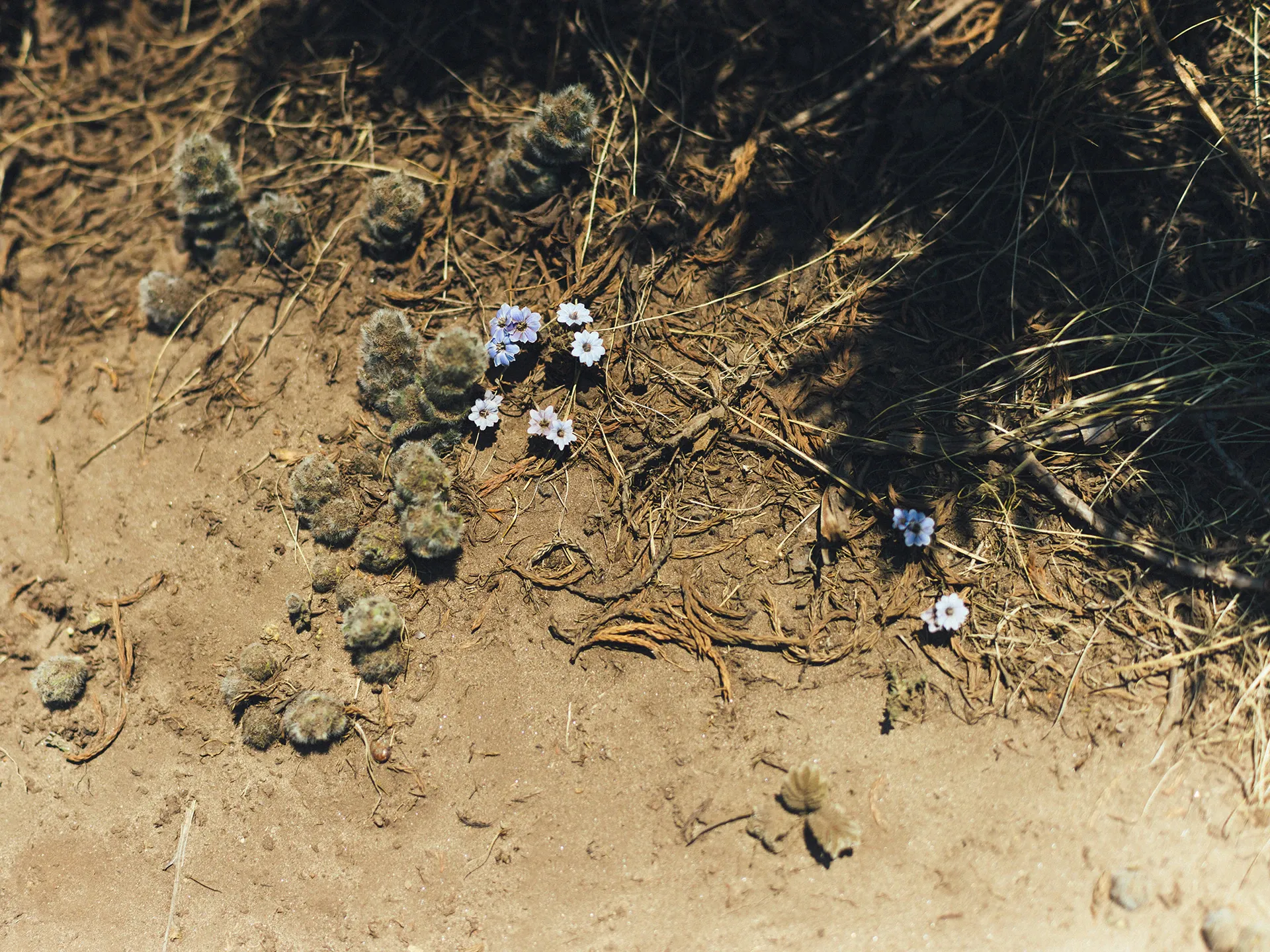 Image 17